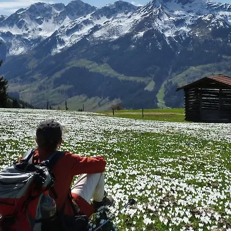 度假居 Mountain Jewel Tyrol